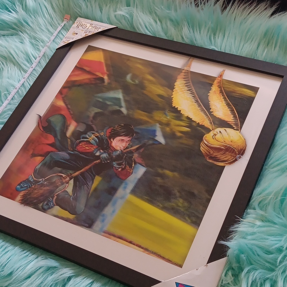 Harry potter framed ,picture flying Harry potter movement - Picture 4 of 9